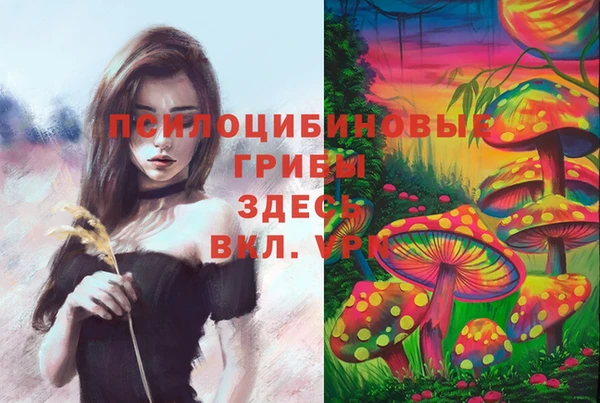 скорость mdpv Няндома