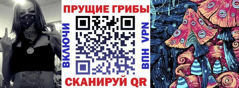 Галлюциногенные грибы Magic Shrooms  где продают   Богородск 