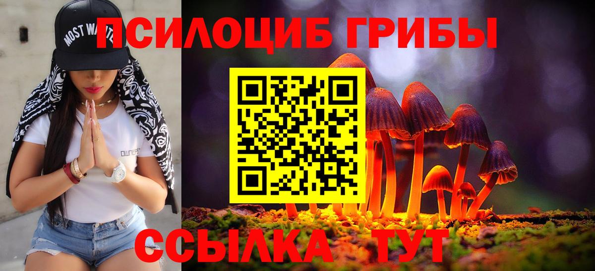Богородск  продажа наркотиков  Вход с VPN  Галлюциногенные грибы MAGIC MUSHROOMS 