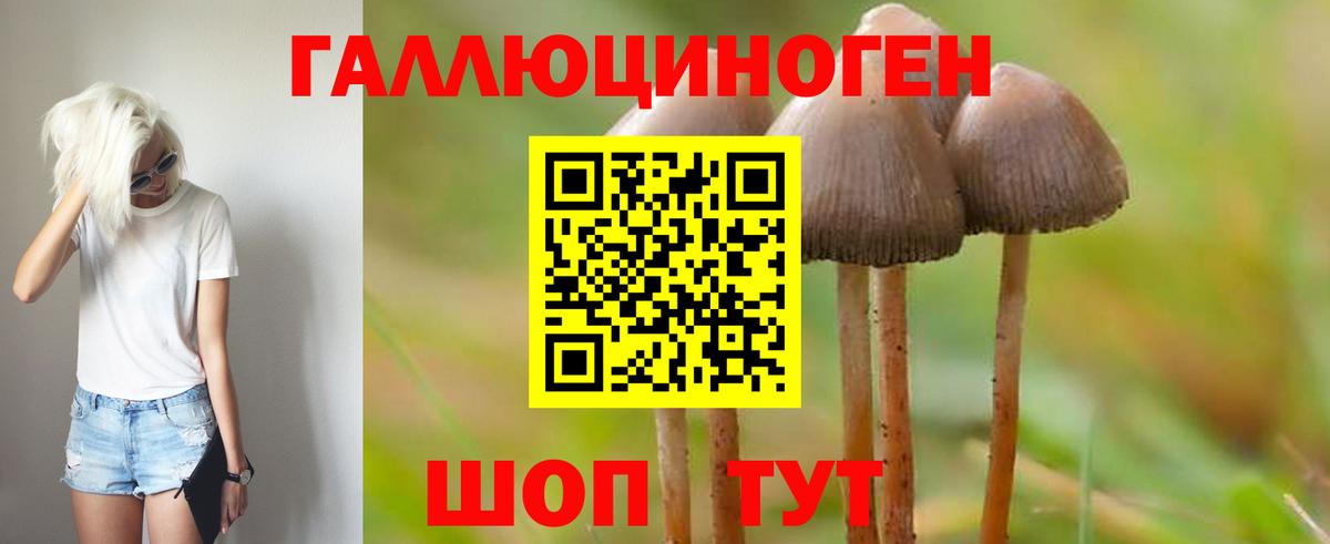 Псилоцибиновые грибы мицелий Богородск