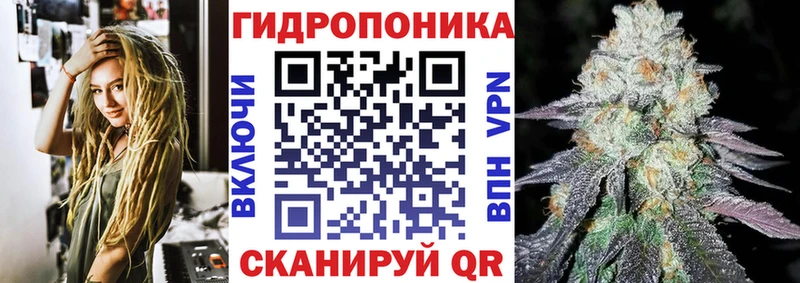 Каннабис план  закладки  Богородск 